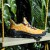 Anta Nest x Salehe Bembury Anta 2021 Men's Fashion Sneakers - Yellow